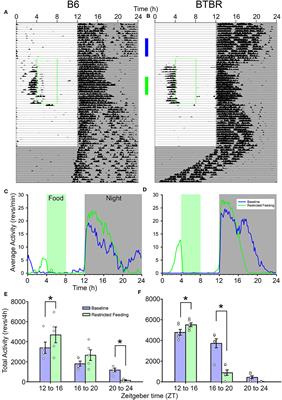 Anticipation of Scheduled Feeding in BTBR Mice Reveals Independence and Interactions Between the Light- and Food-Entrainable Circadian Clocks